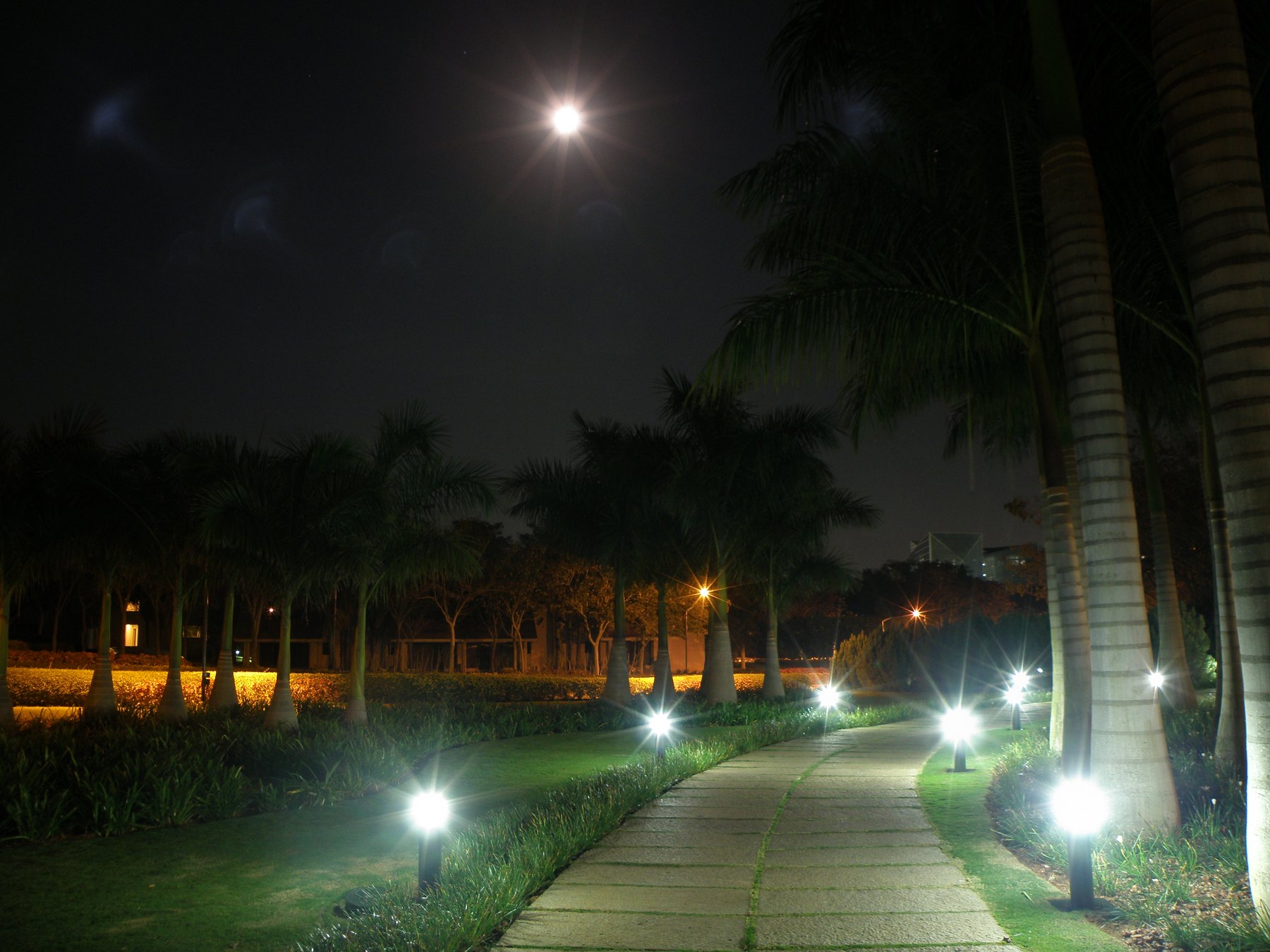 Landscape path lighting at night